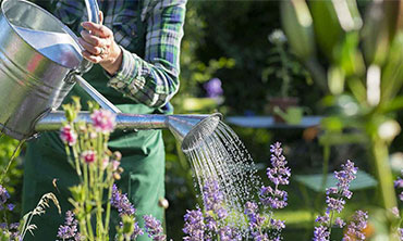 3 Secret Confessions of Pest Control Professional